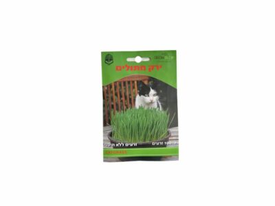 קטניפ - נפית דשא חתולים עשב לעיכול של חתולים