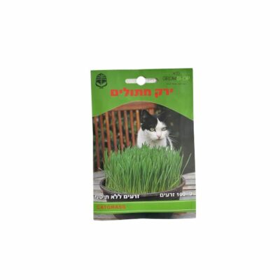 קטניפ - נפית דשא חתולים עשב לעיכול של חתולים
