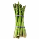 אספרגוס זרעים לגידול בבית asparagus