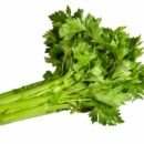 celery seeds carpas