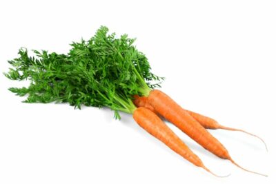 carrot seeds for home grow