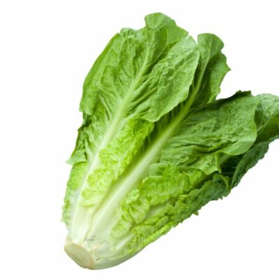 lettuce זרעי חסה ערבית לגידול