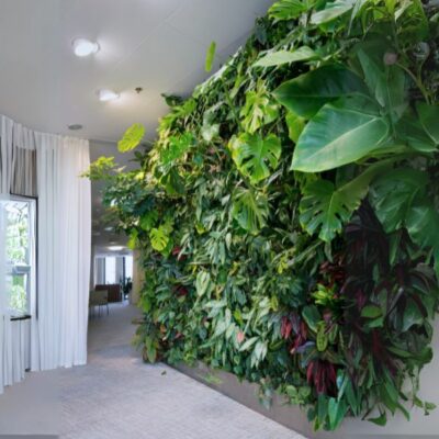 הקמת קיר ירוק למשרדי היי טק DIY קירות ירוקים צמחים על הקיר