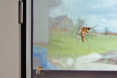 רשת יתושים בגליל DIY